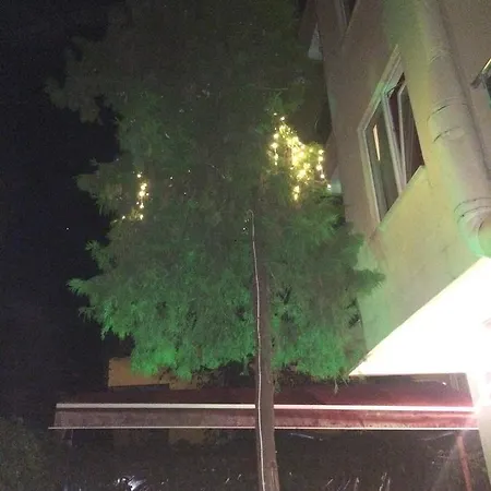 Ξενοδοχείο Demir Αλάνια