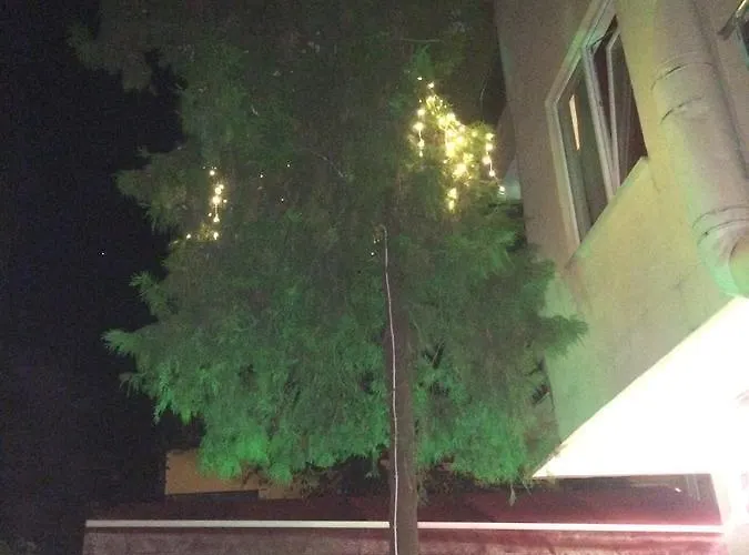 Отель Demir Алания