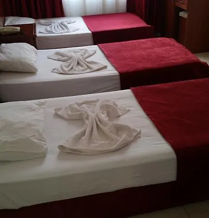 Demir Hotel 3*
