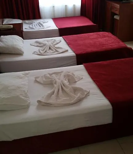 Demir Hotel 3*